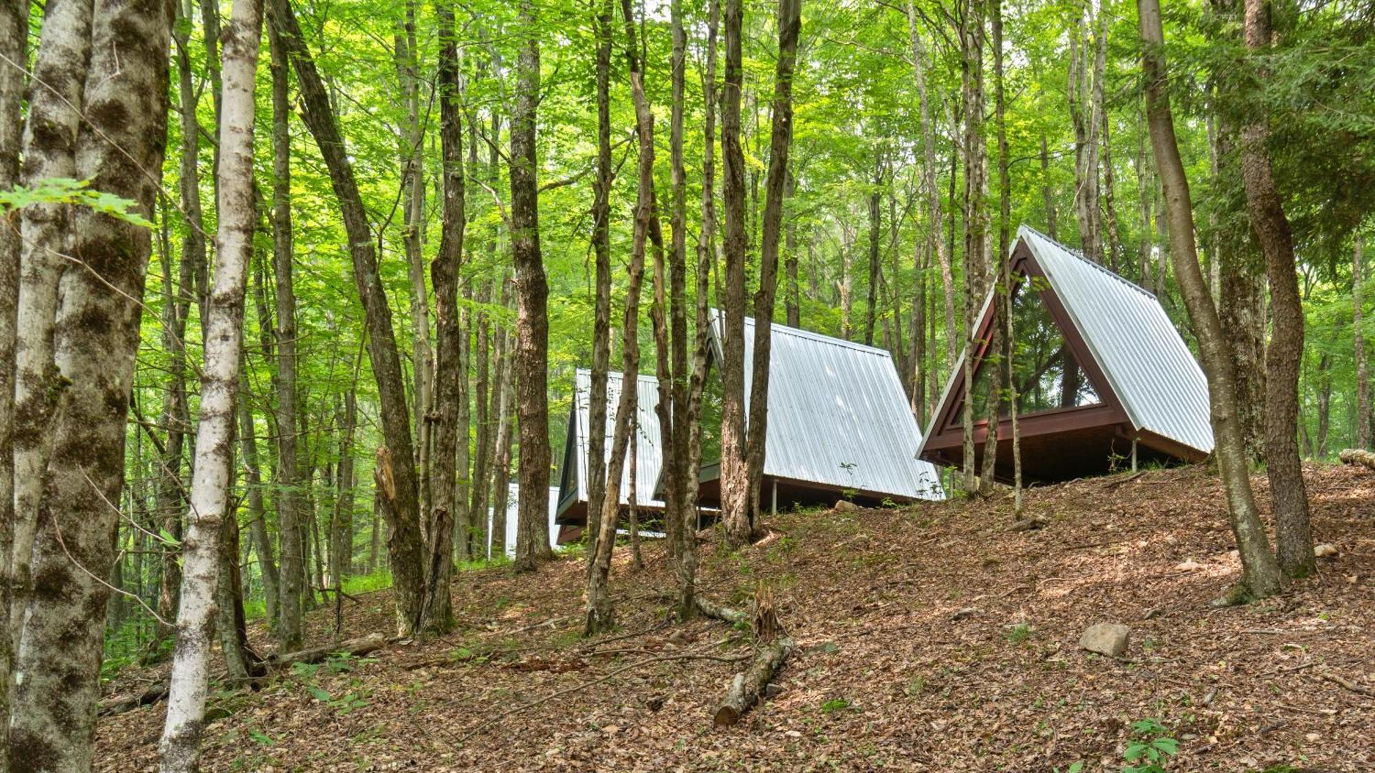 Callicoon Hills Callicoon Center Exterior foto